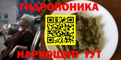 стаф Тверь