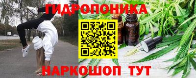 стаф Тверь