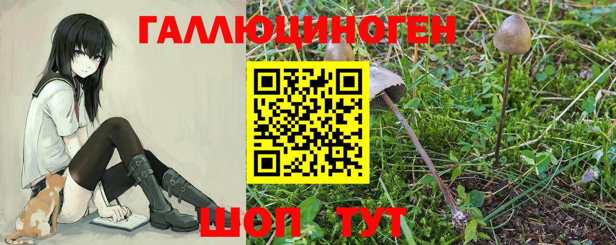 Первоуральск  Псилоцибиновые грибы Magic Shrooms  Вход с VPN  что такое   Псилоцибиновые грибы Psilocybe 